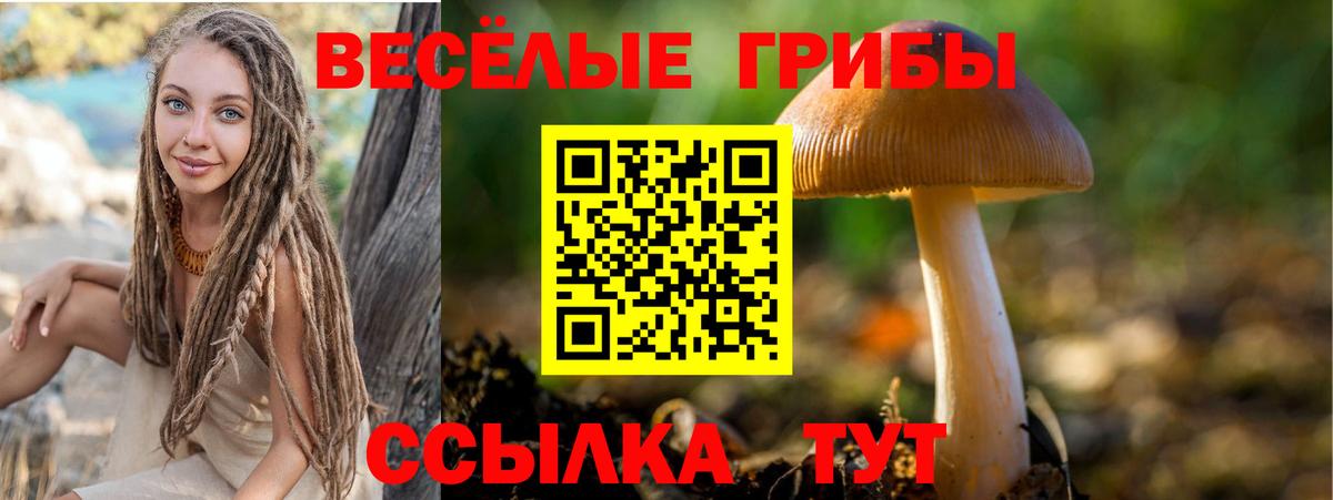 Псилоцибиновые грибы Psilocybine cubensis Бахчисарай